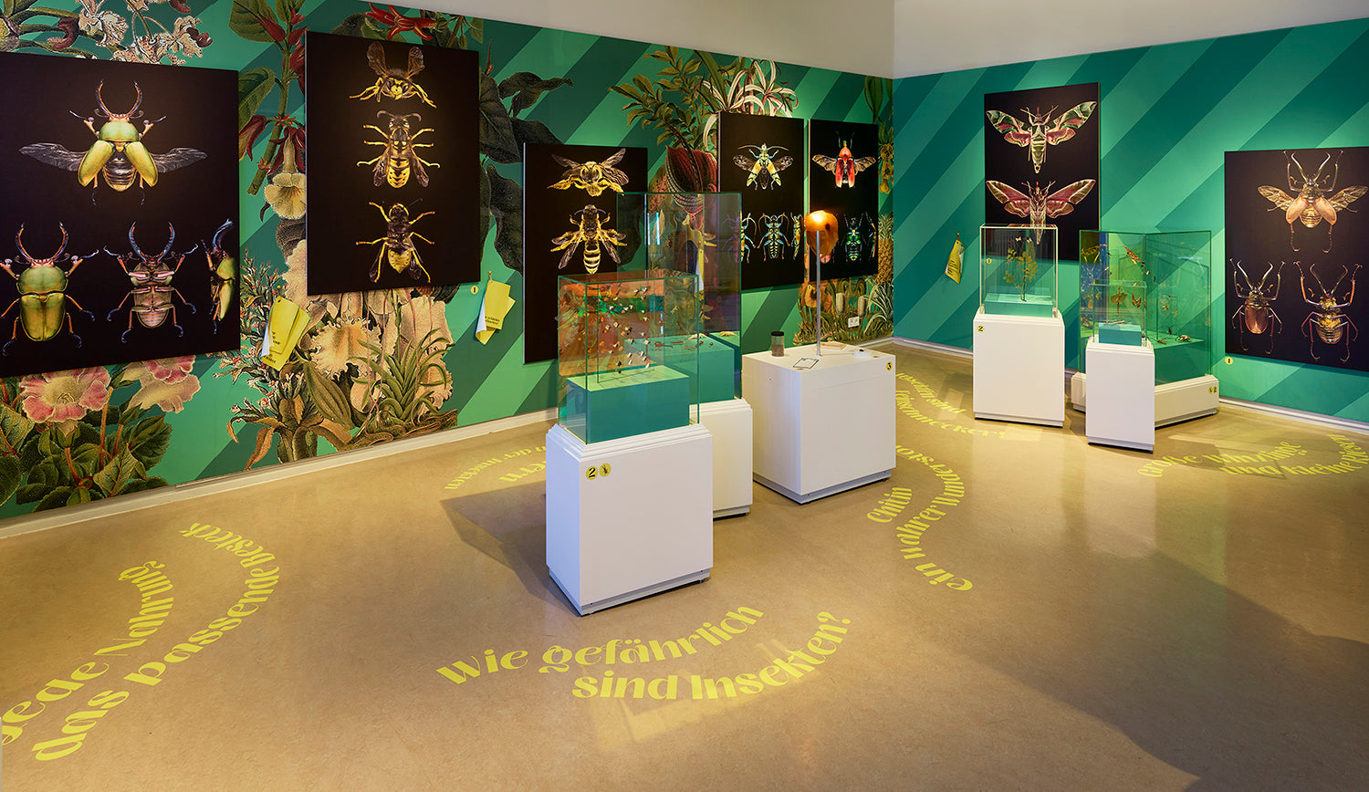 Sonderausstellung Insekten